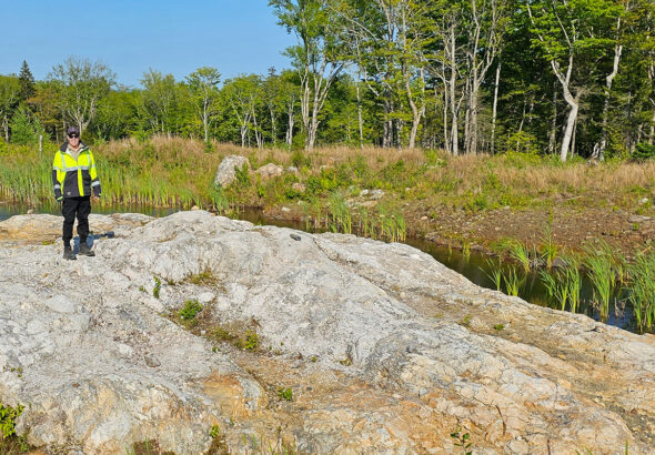 Brazil Lake Lithium Project, Nova Scotia